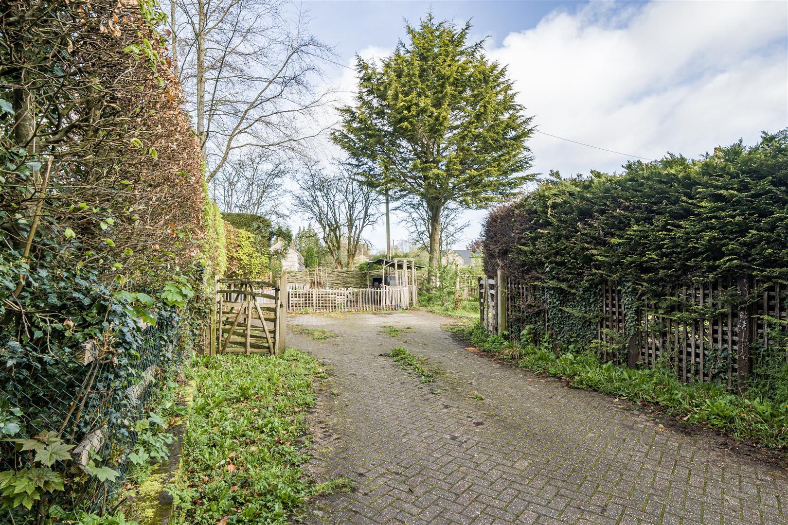 Property Image fcc85e99-6821-43ec-bbc4-150f801964f5