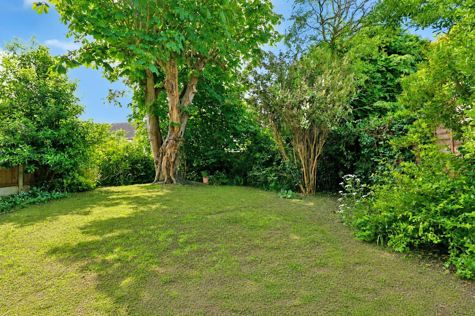 Property Image fcf12549-77d1-46fd-98b3-14a98506829c