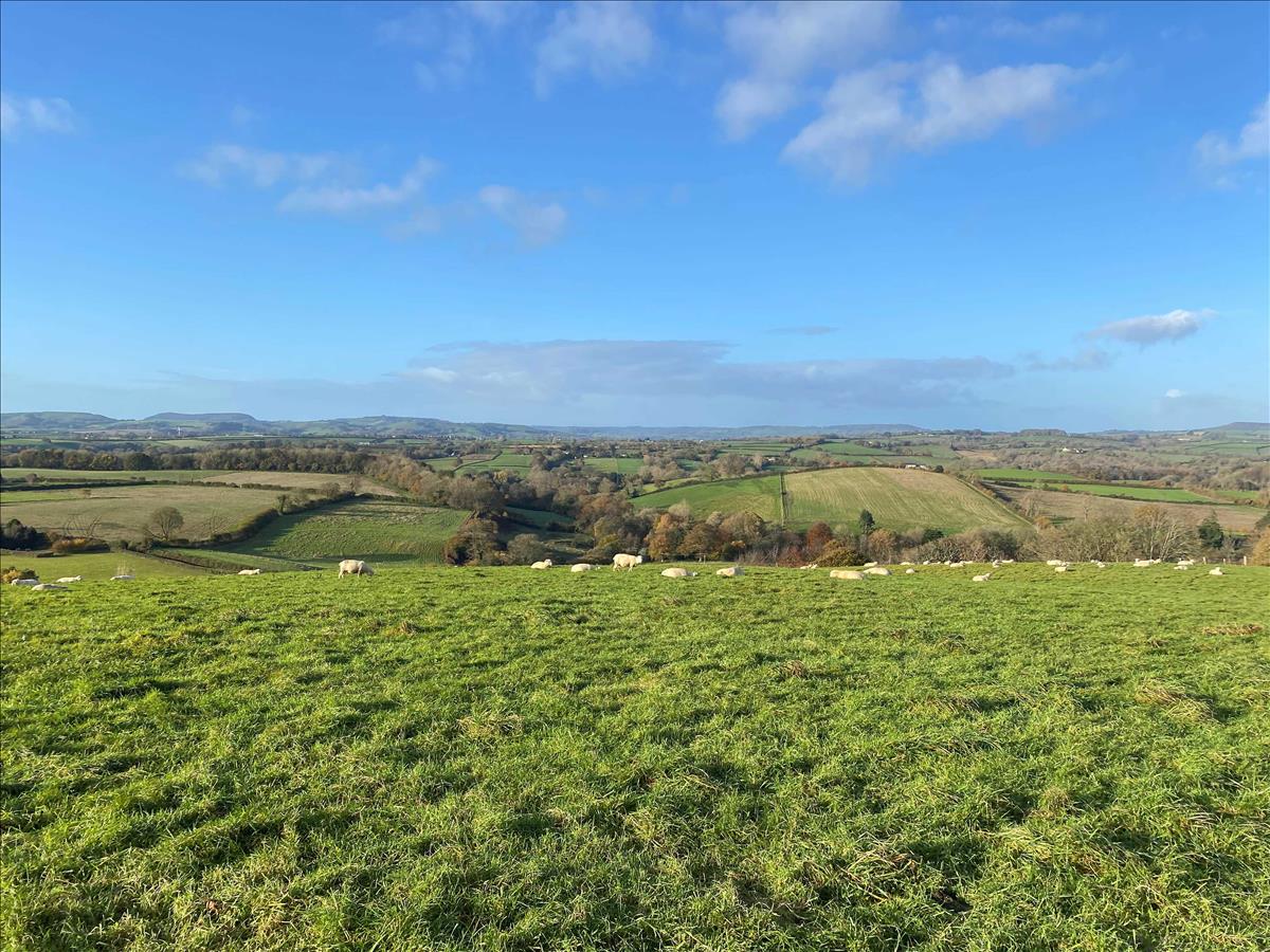 Property Image fd40b283-f693-42b3-bbff-50ca86e33fe1