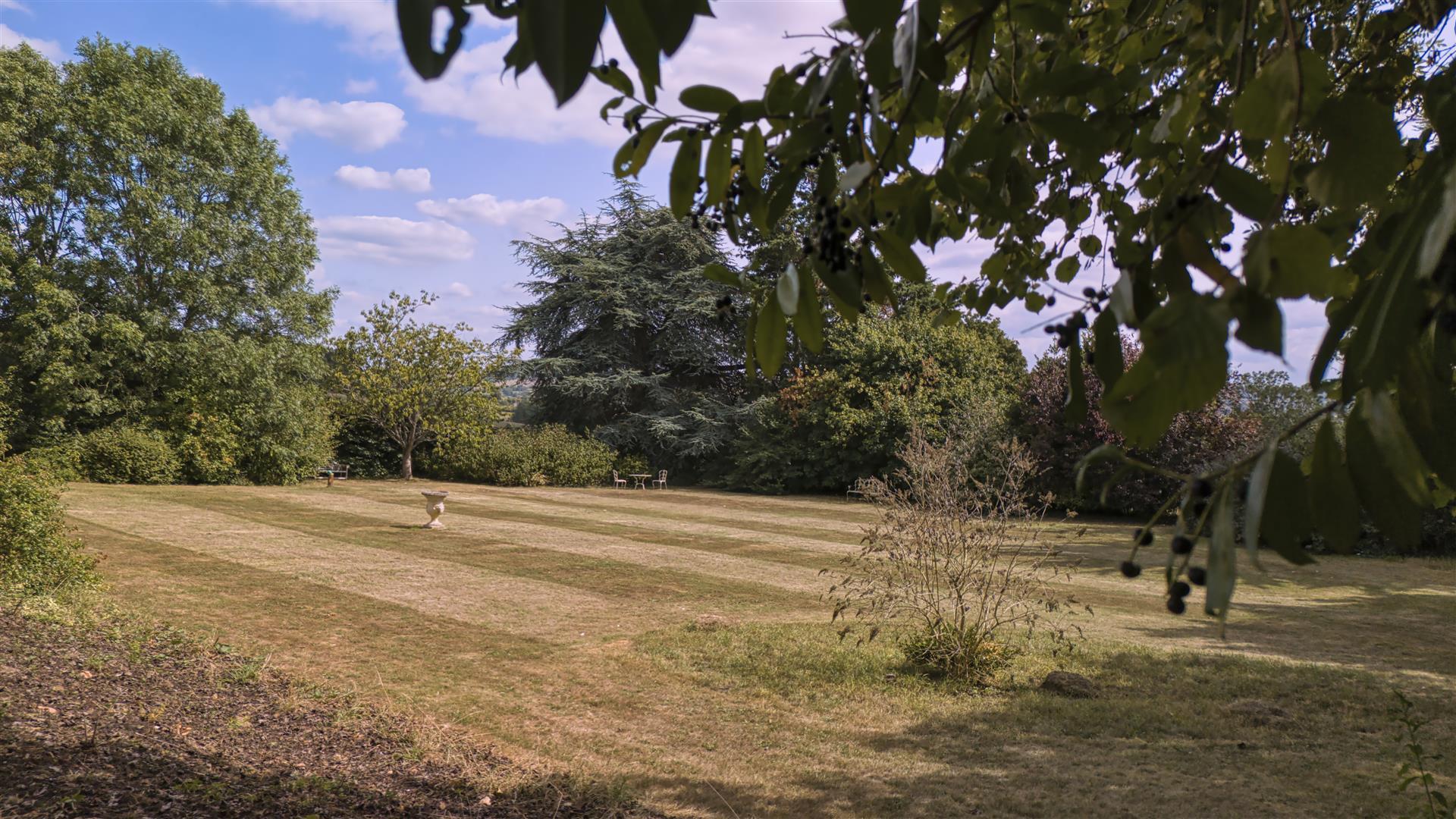 Image 13