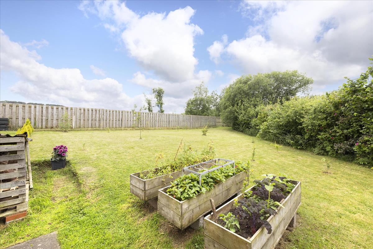 Property Image feb0d801-8670-482d-963d-fc88fe6a3359