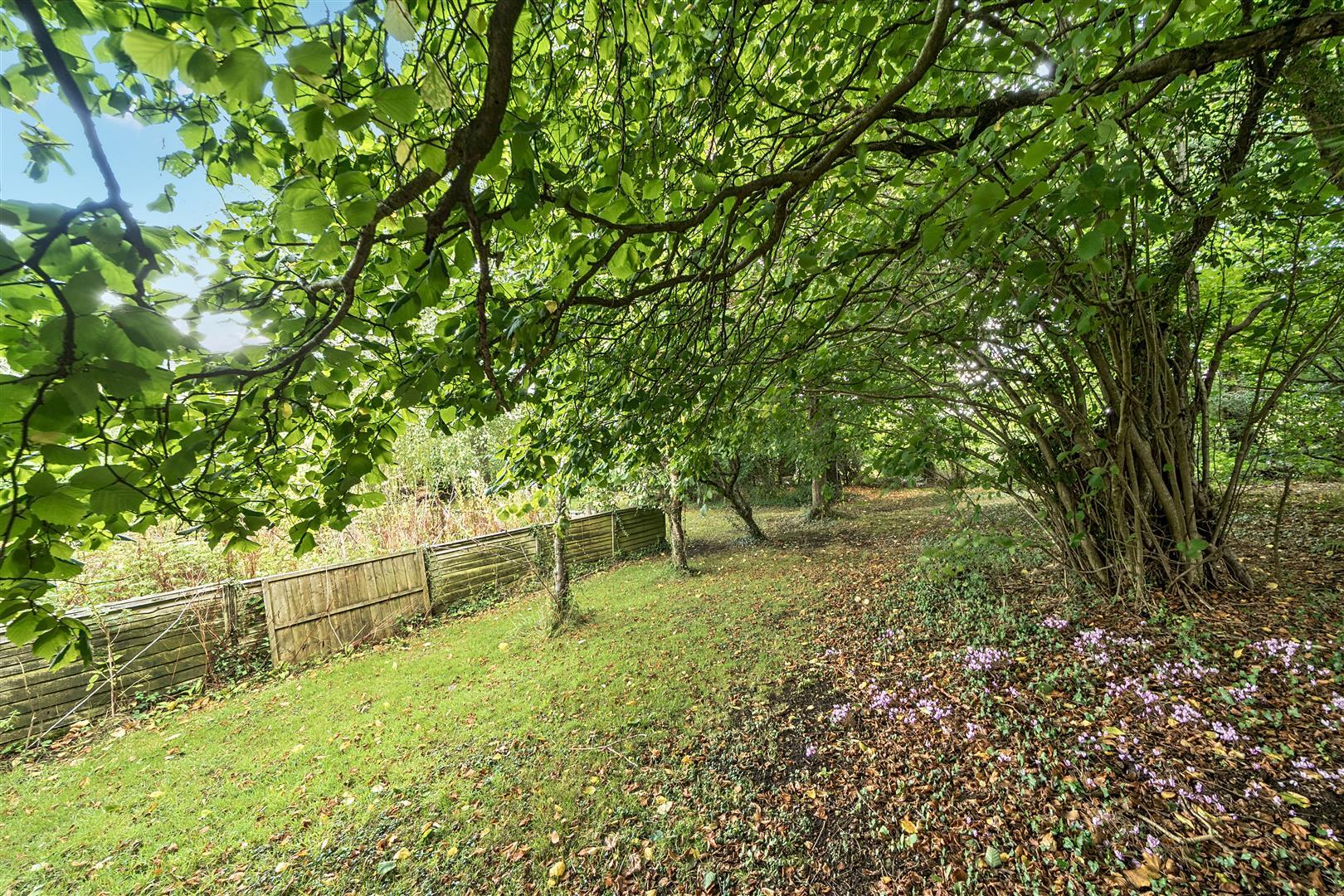 Property Image fed326e3-8e91-4004-b15c-b79d9202bc28