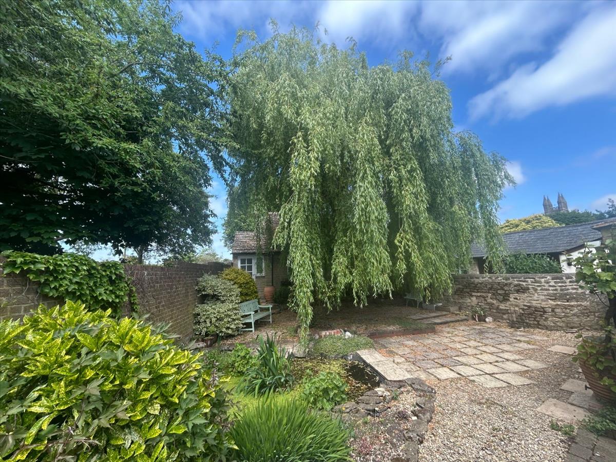 Property Image fedf16d1-4329-4a48-8e00-b5c3c6a32ce8