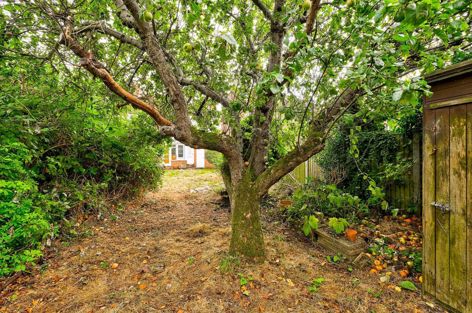 Property Image ff11c8be-be00-4155-8da2-996f66c7616d