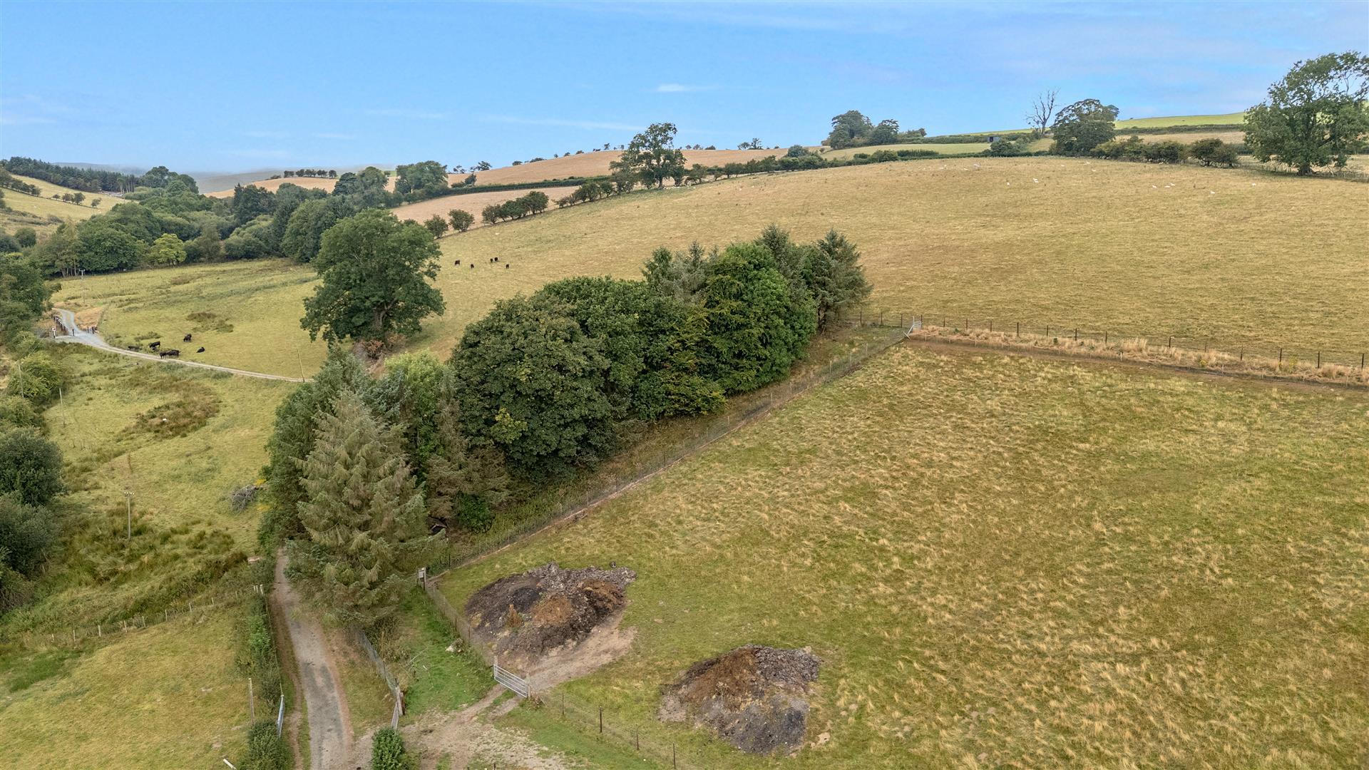 Property Image ff435c75-66c8-44d7-8a72-b7f7e1a352b7