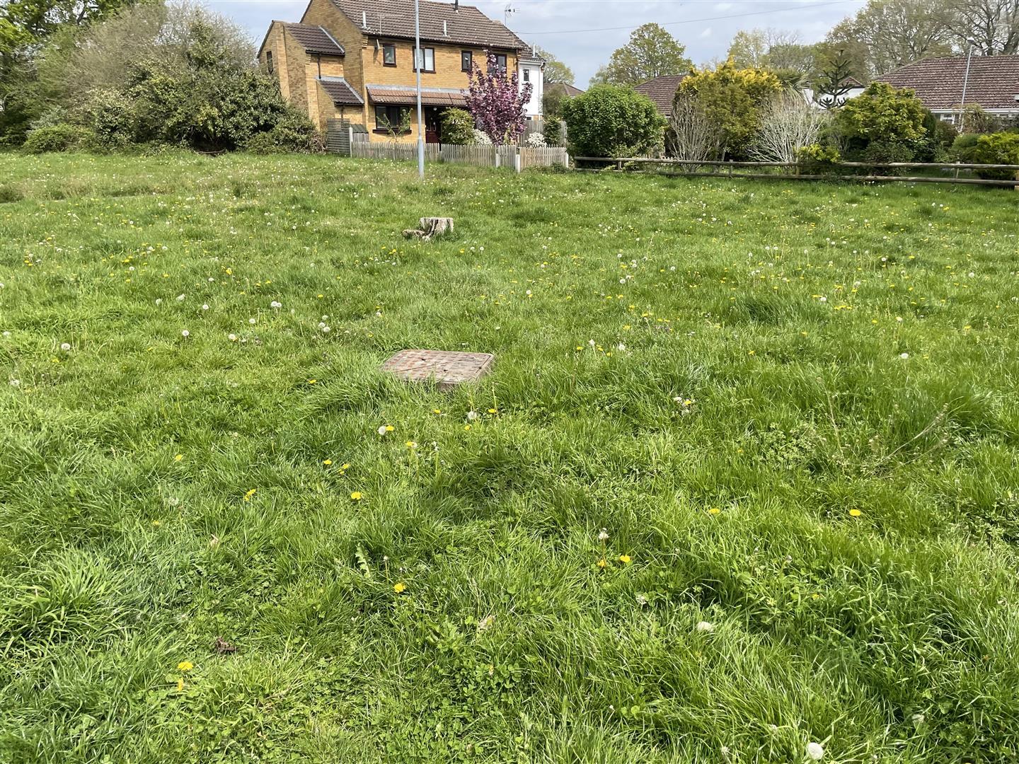 Property Image ff831116-db88-4455-8c06-a68e2a9e899d
