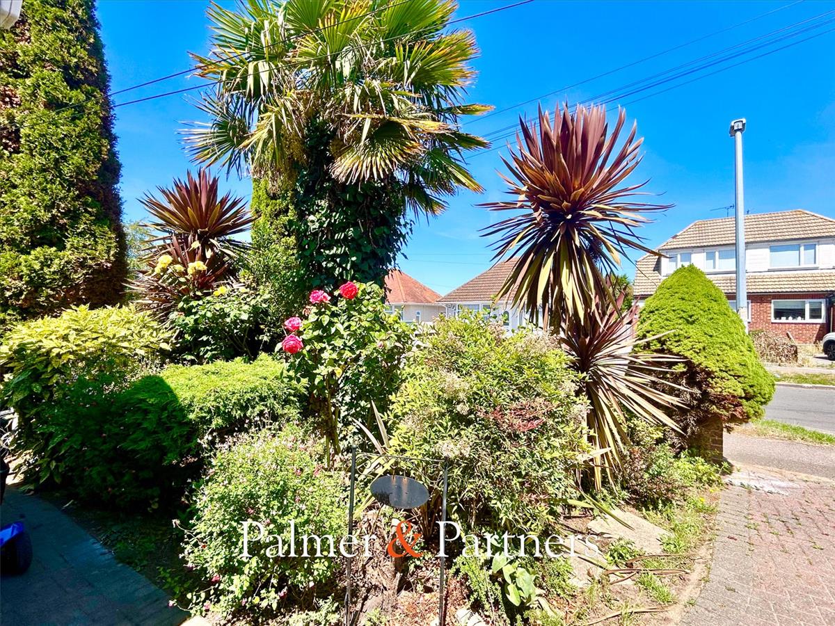 Property Image ffe21efa-101f-42af-aa9b-a0a1823dd575
