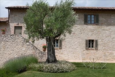 property_large_8 - Copy.jpg