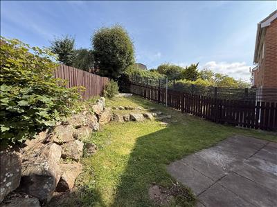 Image 13