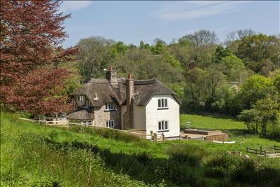 Image 28