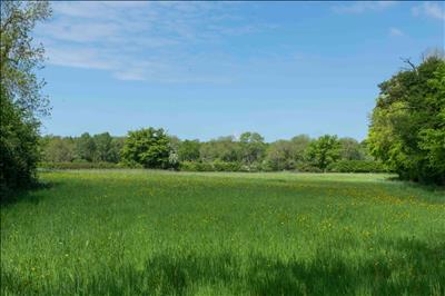 Image 14