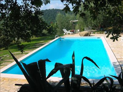 Villa Giulia, Todi, pool with guava