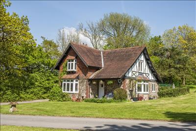Image 27