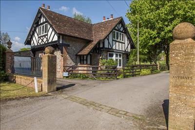 Image 26