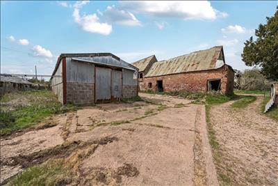 Image 12