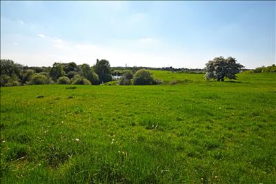 Image 25