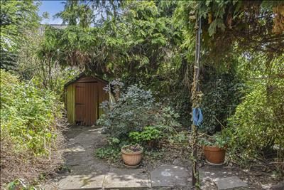 Image 21