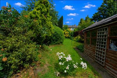 Image 20