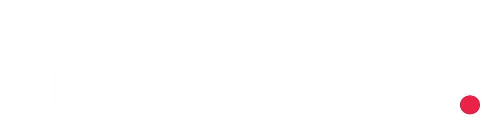 Hauzoo footer logo