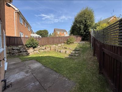 Image 14
