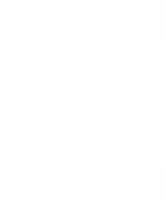 ECAP Logo