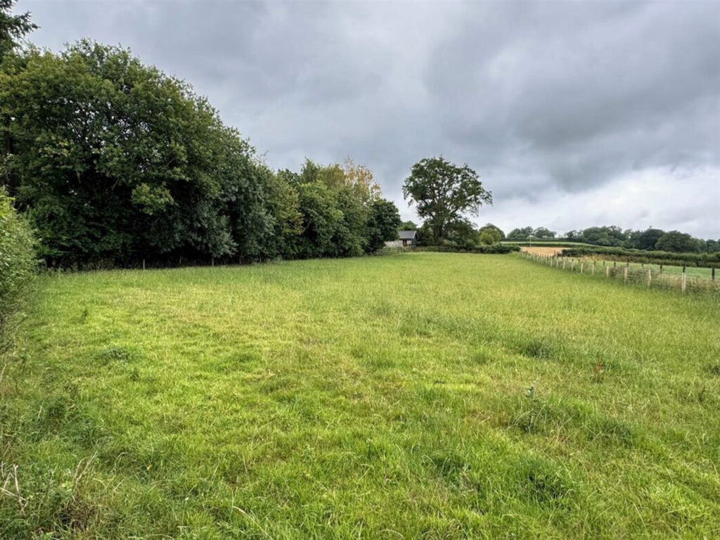 September Collective Property & Land Auction