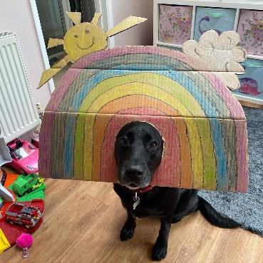 A dog lying on a colorful rug
Description automatically generated