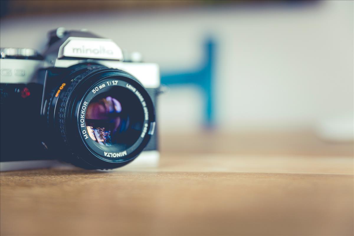 Take pictures.